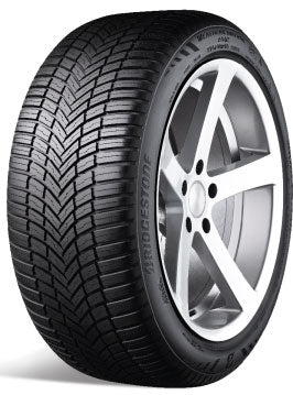 WEATHER CONTROL A005 | 225/65/R17 V (106)
