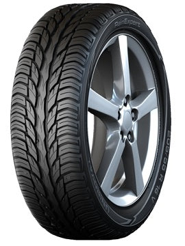 RAINEXPERT | 205/60/R15 H (95)